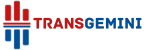 TransGemini International