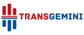 TransGemini International